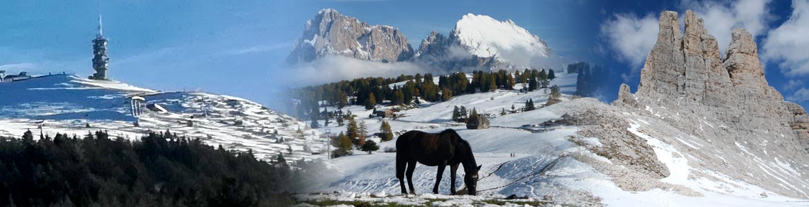 Trentino Alto Adige 2018 Trentino Alto Adige 2018
