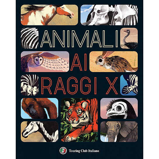 Animali ai raggi X