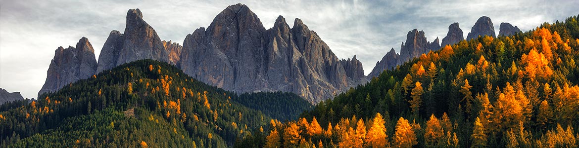 Trentino Alto Adige Autunno 2020 Trentino Alto Adige Autunno 2020